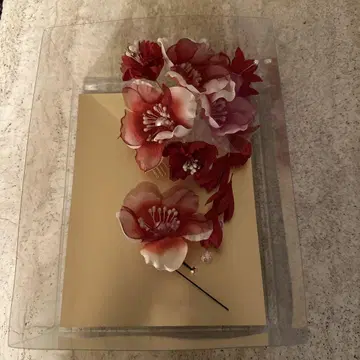 머리 장식