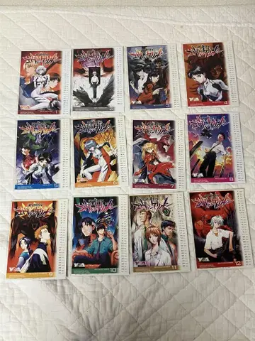 에반게리온 엽서 (12장)