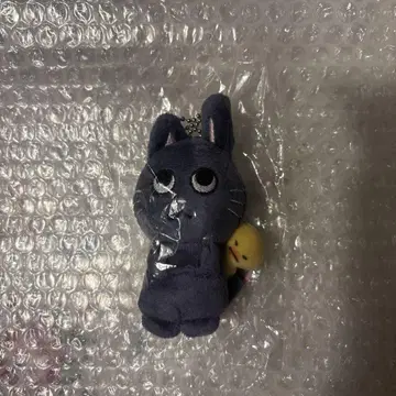 riize 토냥독 원빈 발렌타인 md 봉제 인형 10cm