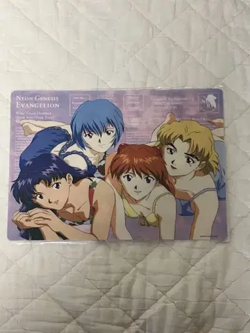 에반게리온 책받침