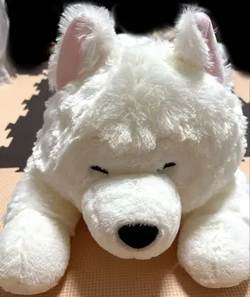 화이트견 봉제 인형 약 65cm
