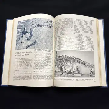 COMPTON'S ENCYCLOPEDIA EXPO70 9 만박