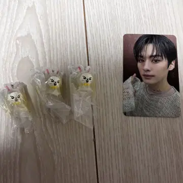 straykids 스키즈 리노 LeeKnow skzoo 리비트