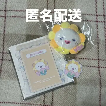 JOCHUM 시크릿 동전 카드 케이스, 브로치 스티커 Bira