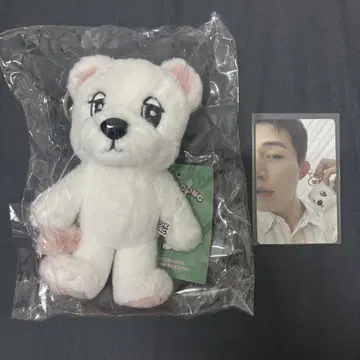 이동욱 팝업 욱동 봉제 인형 키링 트레이딩 카드 포함