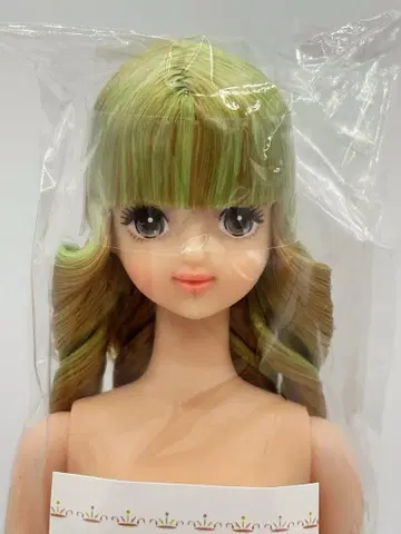 타마키 리카짱 캐슬 오타노시미 인형 옐로우 그린 계열 롤 제니 프렌드