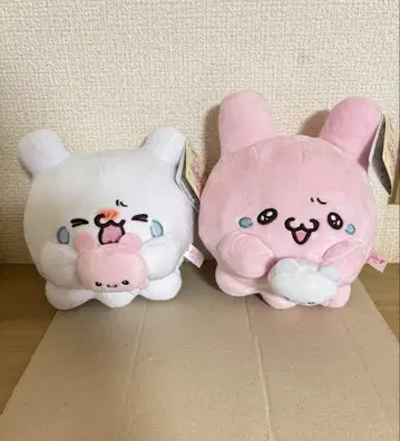 러브리즈 풀세트 전 2종 세트