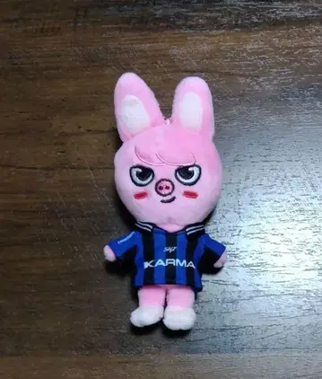 Straykids KARMA skzoo ver 창빈 돼끼