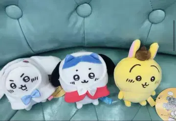 치이카와 산리오 시나몬 토끼