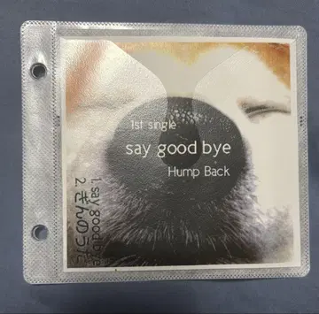 Hump Back say good bye 단종 데모