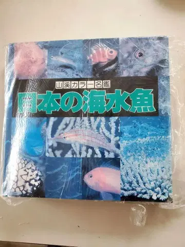 일본의 바닷물고기 Sea Fishes of Japan