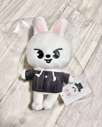 straykids SKZOO 리빗
