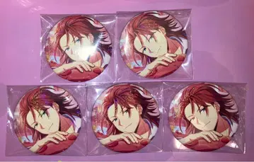 헬리오스 R 홀로그램 캐릭터 배지 컬렉션 가스토 5개 2개