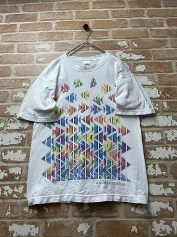 00s 프룻 오브 더 룸 USA제 티셔츠 물고기 화이트 열대어 구제 의류