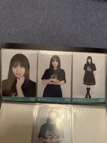 노기자카46 브로마이드 라이브T셔츠 도쿄.ver 카와사키 벚꽃 3종 컴프