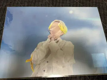 클리어 포스터 루토군 A3 액 B상