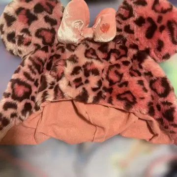 디즈니 팬캡