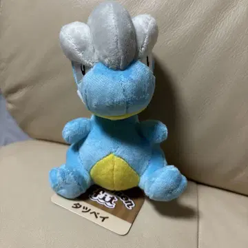 포켓몬 포켓몬 센터 보르보르 Pokemon fit