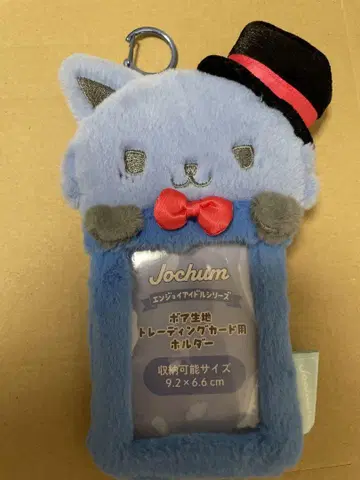 JOCHUM 보아 원단 트레이딩 카드 케이스 레인
