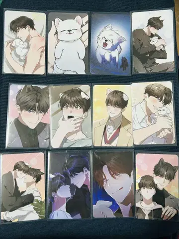 강아지에게 손대지 마 포토 카드 트레이딩 카드 한국 BL