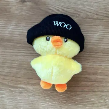 변우석 변우석 봉제 인형 WOOPPI