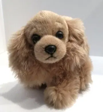 아메리칸 코카 스파니엘 봉제 인형 강아지 개