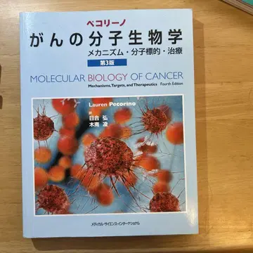 페코리노암의 분자생물학 메커니즘 분자표적 치료