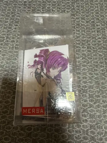MERSA 기동전사 건담 SEED 디스티니 메이린 호크 레진 키트