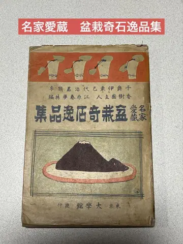 도서 분재 기석 수석 석장식