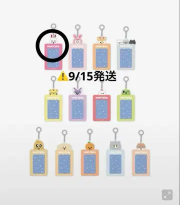 MINITEEN 체리 트레이딩 카드 케이스 일본 미발매