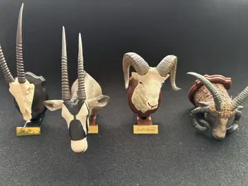 헌팅 트로피 가챠가챠