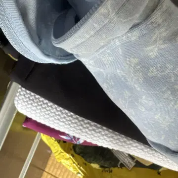 딸기 씨 셀렉