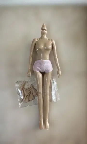 포토제닉 리카짱 바디 [달리아]