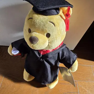 곰돌이 푸 졸업식 봉제 인형 홍콩 디즈니