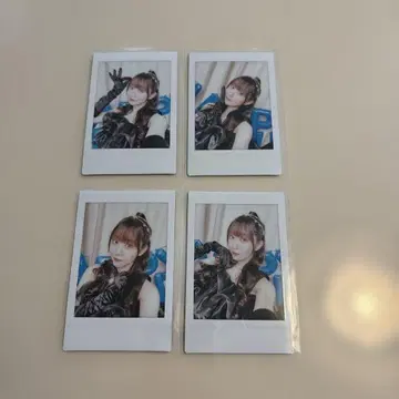 마나카 마나 생탄 온특 폴라로이드