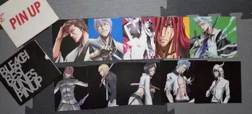 BLEACH PINUP