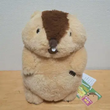 마모트의 마토토토 컴팩트 점보 봉제 인형