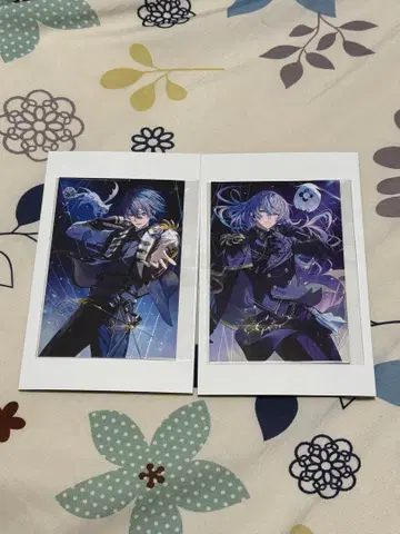 니지산지 퍼펙트 원 포커스 코야나기 로우 호시미치 쇼 혜택 카드