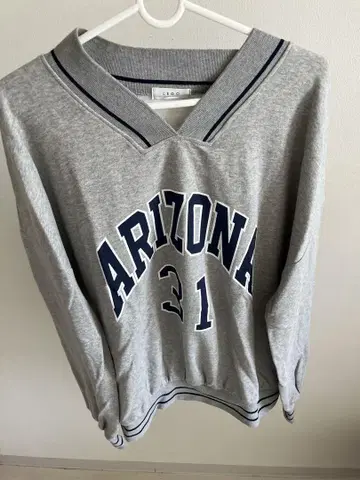 ARIZONA 31 V넥 맨투맨 그레이