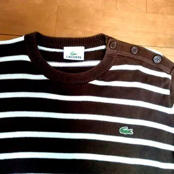 LACOSTE 가을용 니트 스웨터 (면)