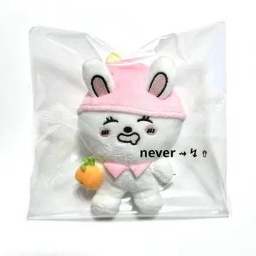 수민 STAYC ONLY4SWITH 봉제 인형