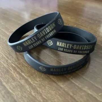 HARLEY DAVIDSON 할리데이비슨 리스트 밴드 110주년