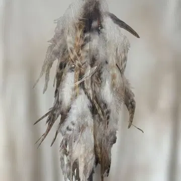 goaT 반팔 셔츠
