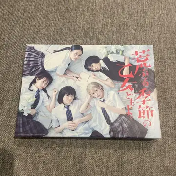 거친 계절의 소녀들이여. DVD-BOX (4매)