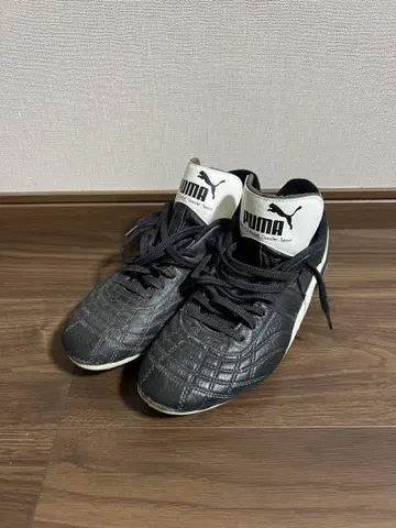 PUMA 파라메히코