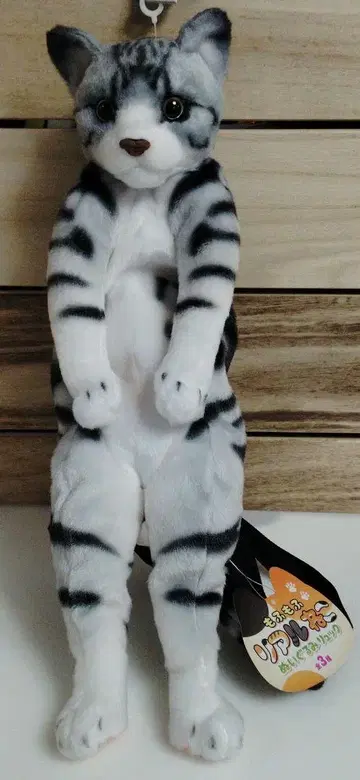 리얼 고양이 봉제 인형 백팩 아메리칸 쇼트헤어 48cm