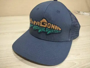 patagonia 파타고니아 캡 모자 낚시