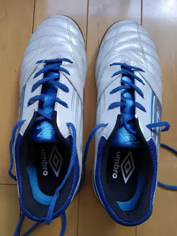 22cm umbro 풋살화 화이트/블루