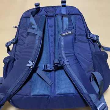 Patagonia 네이비 백팩