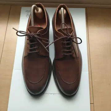 (새상품급) 스코치 그레인 여성용 23cm U칩